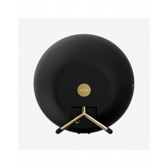 Defunc  D2072  Multiroom ,WI-FI ,bluetooth speaker